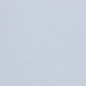 P 495 paszpartukarton