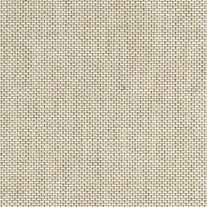 P 650 paszpartukarton