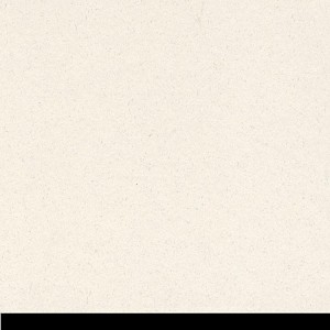 P 66332 paszpartukarton