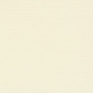 P 721 paszpartukarton