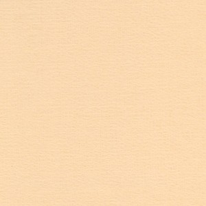 P 735 paszpartukarton