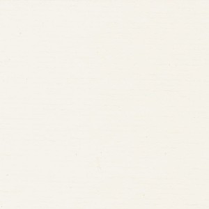 P 751 paszpartukarton