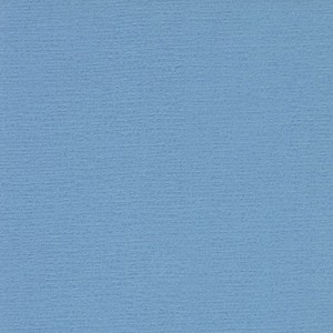 P 768 paszpartukarton