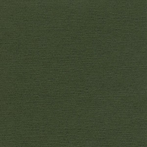 P 785 paszpartukarton