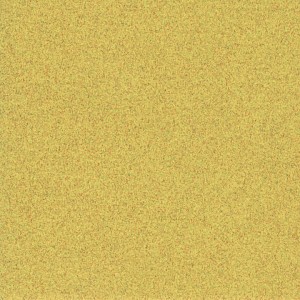 P 791 paszpartukarton