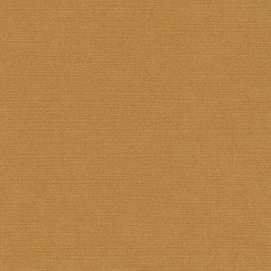 P 819 paszpartukarton