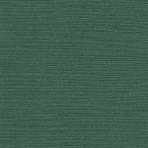 P 820 paszpartukarton