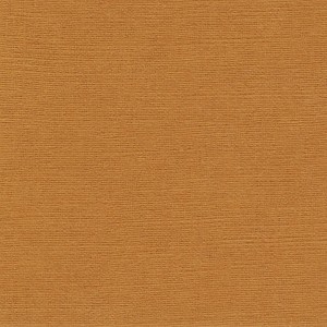 P 827 paszpartukarton