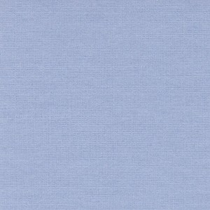 P 830 paszpartukarton