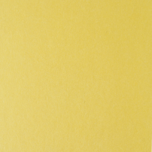 P 896 paszpartukarton