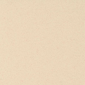 P 9333 paszpartukarton