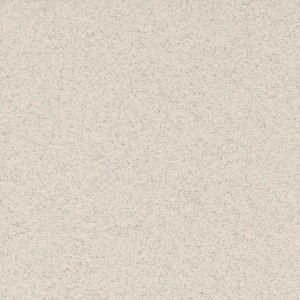 P 9339 paszpartukarton