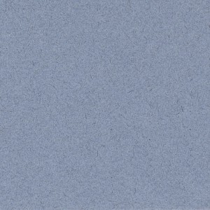 P 9341 paszpartukarton