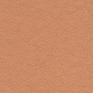 P 9356 paszpartukarton