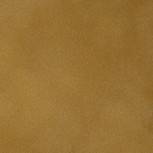 P 100 paszpartukarton