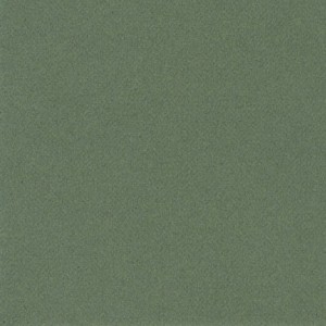 P 7197/164 paszpartukarton