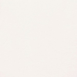 P 4225 PASZPARTUKARTON