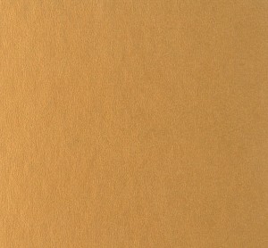 PP 970 paszpartukarton