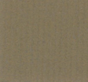 P 486 paszpartukarton