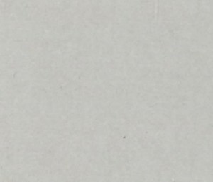 P 757 PASZPARTUKARTON