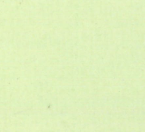 P 737 PASZPARTUKARTON