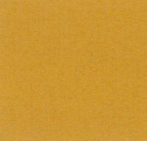 P 731 PASZPARTUKARTON