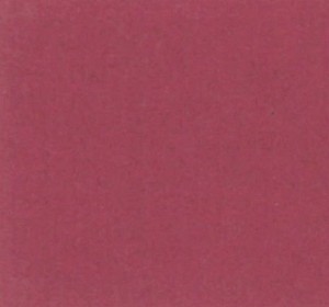 P 774 PASZPARTUKARTON