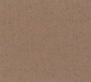 P 733 PASZPARTUKARTON