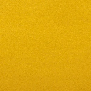 P 209 PASZPARTUKARTON