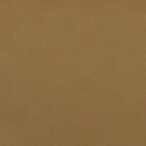 P 207 PASZPARTUKARTON