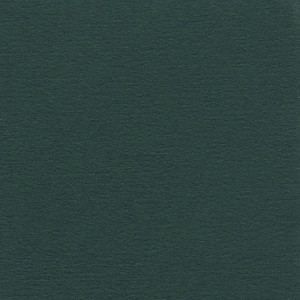 P 223 PASZPARTUKARTON